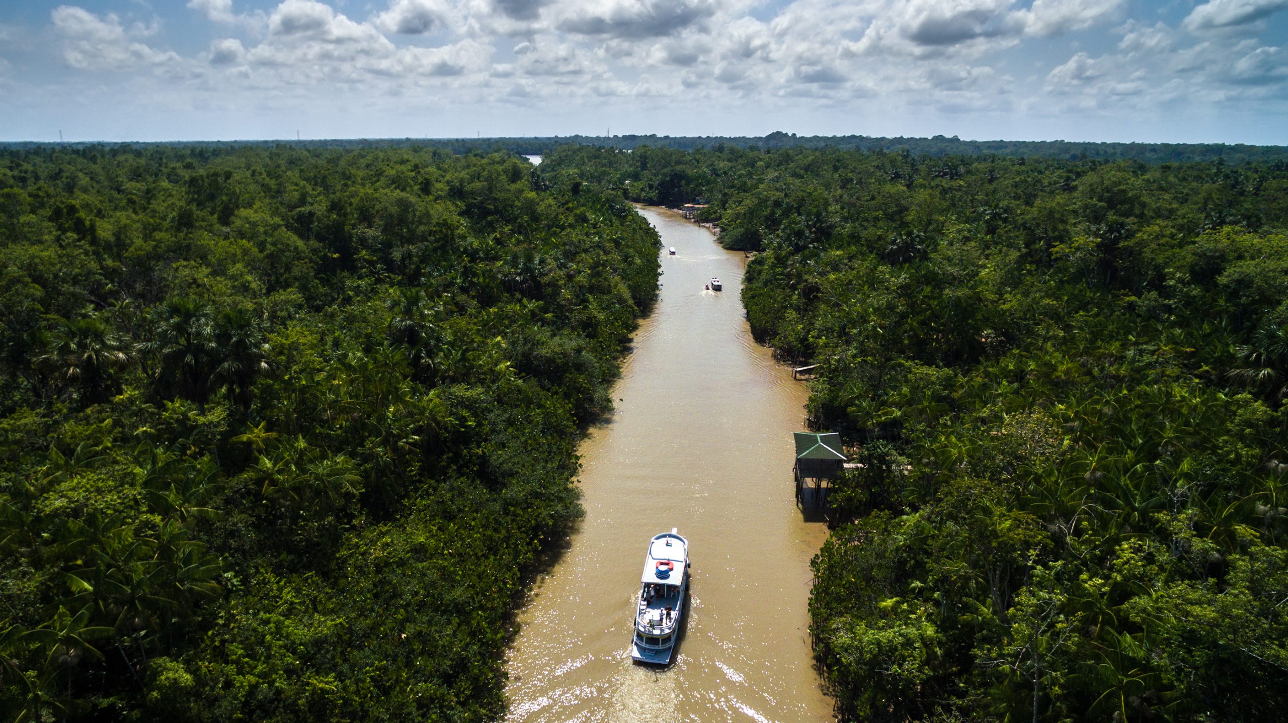 Amazone rivier in Brazilie